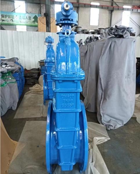 Quality GGG50 Rubber 6" Gate Valve Worm Gear Non Rising Stem Valve for sale