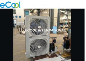 6Hp Frequency Conversion Condensing Unit for Small Freezer , Convenient store, Display Cabinet