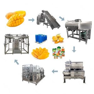 3T/D SUS304 Mango Jam Processing Machine One Stop Service