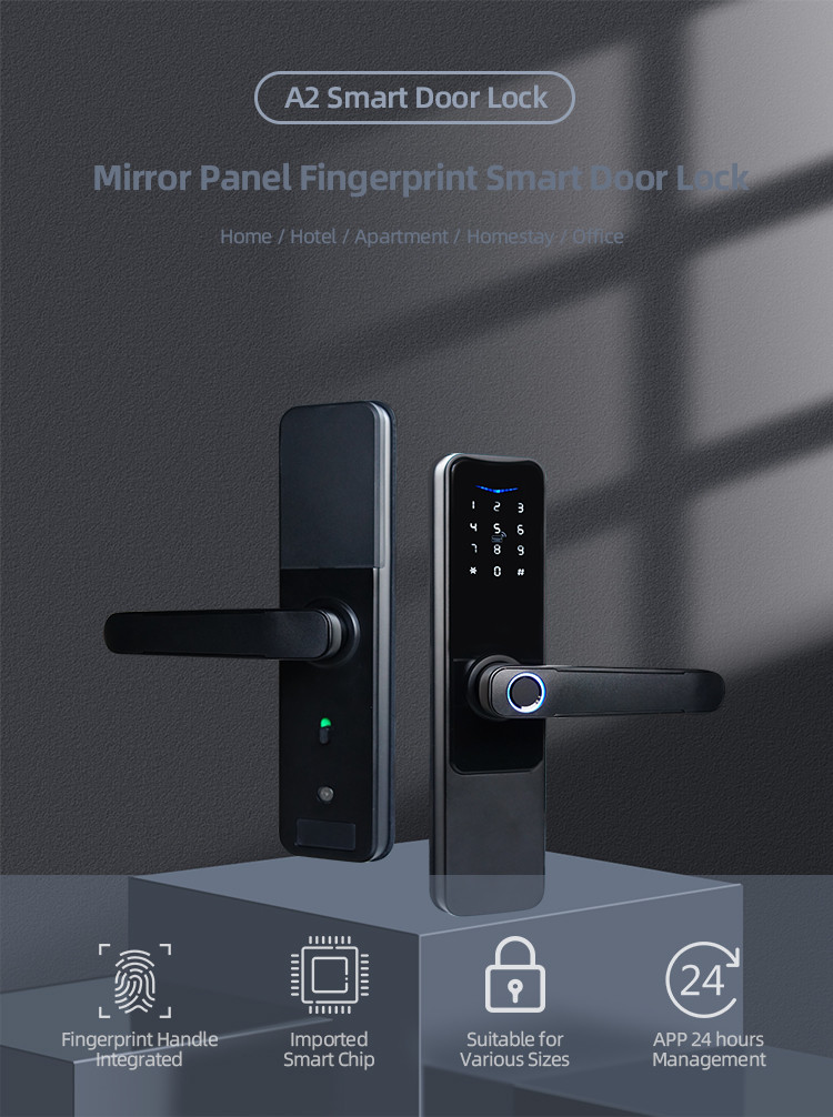 5VDC TTlock Smart Lock Biometric Keyless Smart Door Lock Wifi App Control