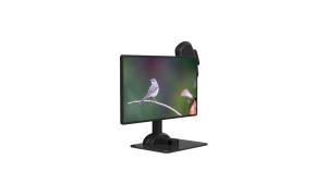 Spine Rigidity Unique LCD Monitor Stand Ergonomics Laptop Arm