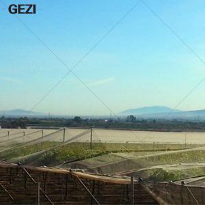 China Gezi Insect Net Garden Fine Mesh Tunnel Grow Insect Net for Vegetables Fruit Plants 10 X 2.4 M Vegetable Protection Net on sale