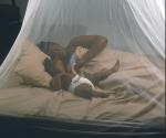 White Anti Insect Netting , Diamond / Hexagonal Mesh Mosquito Net For Bed