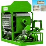 Full Automatic Paper Egg Tray Maker Machine High Efficiency Recycled