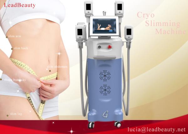 Quality blue color and ABS/TPU material coolsculpt Slimming -15℃-5℃ cooling temperature and 14 inch touch colored screen for sale