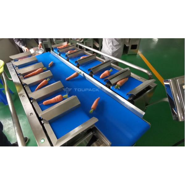 Industrial 12 Head 14 Head Belt Combination Weigher For Sweet Potato Corn Eggplant Type