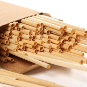 Compostable Biodegradable Paper Drinking Straws  Naturally Antibacterial