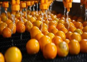 Buy cheap Professional Customized Lemon Juice Production Line With Daily Production Capacity Of 4,000 Tons product
