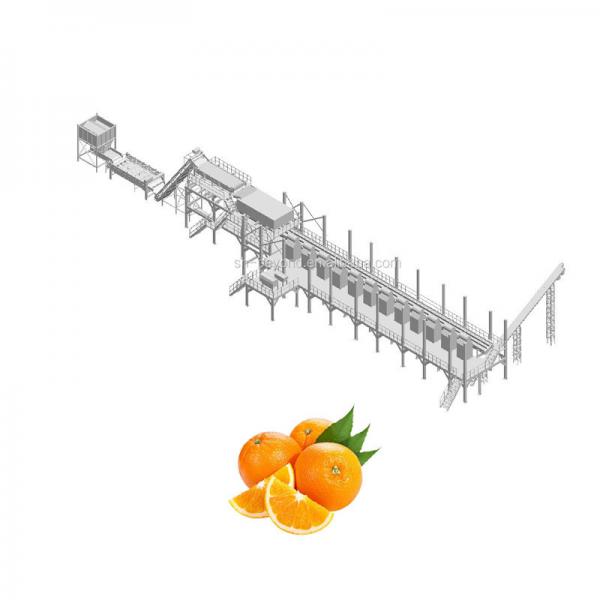 Quality 10TPH Automatic Orange Juice Extract Orange Processing Line For Juice Making Factory for sale