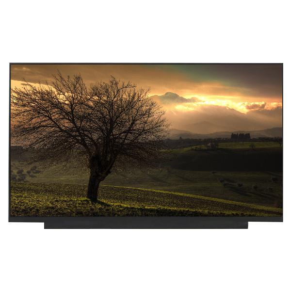 Quality LQ140M1JW31 14.0 inch 1920*1080 LCD Screen Display Panel for sale