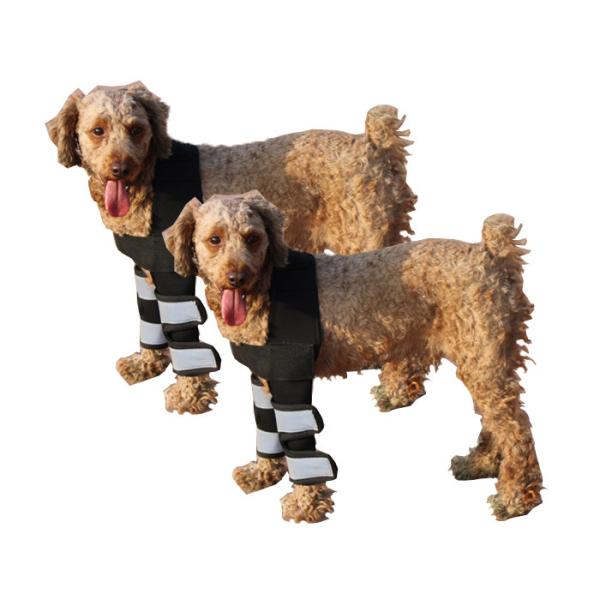 Quality Hock Joint Sports Knee Pads Breathable Shockproof Custom Small Dog Knee Brace for sale