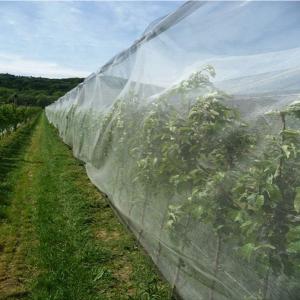 Buy cheap Insect Bird Barrier Netting Mesh for Vegetables Fruit Flower from Damage Ventilate Durable and Reused Perfect for Garden product