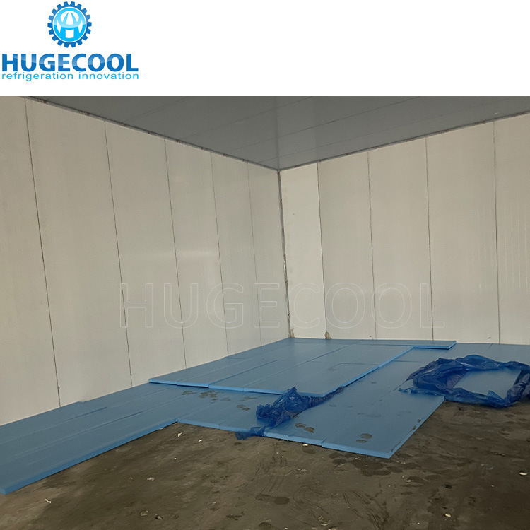 Beef Slaughter Plant Cold Storage Blast Freezer with Stainless Steel Panel