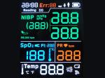 FSTN Positive Monochrome LCD Display 3.3V REACH For Input Battery