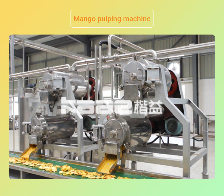 Automatic Mango Juice Production Line SS304 All Fruit Juice Making Machine