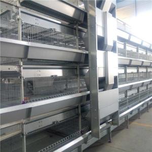 Fast Poultry Farm Feed Machine , Automated Poultry Equipment Simple Structure
