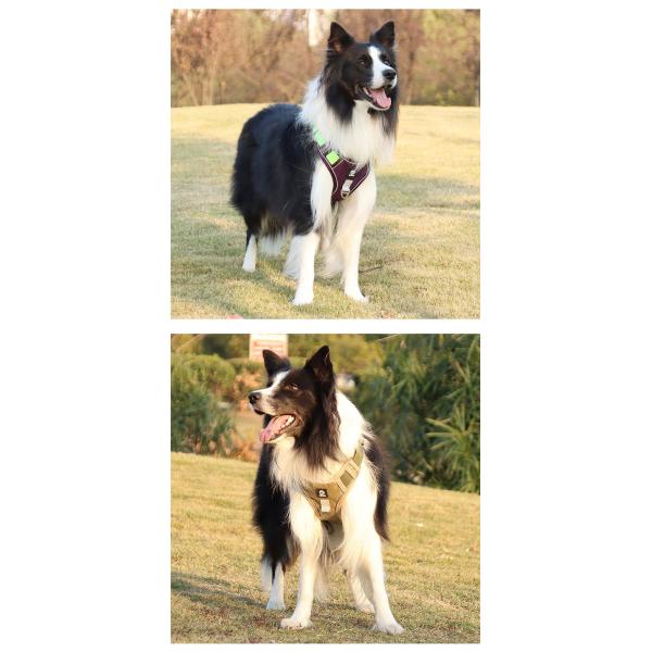 Reflective Dog Oxford Adjustable Straps Harness Vests For Safe Walking