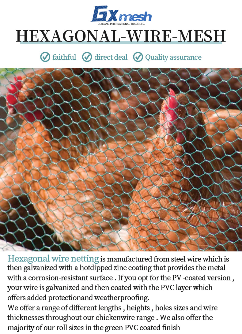 Anping stainless steel galvanized twisted hexagonal net guardrail farm breeding fence gabion highway guardrail