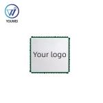 High Accuracy Customized GPS Receiver Module For Bracelet Ambulance