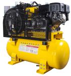 Portable Multi Function Welder Generator With Welding / Air compressing /