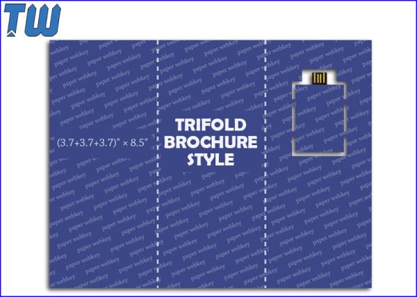 Quality Promotional Brochure Web RUL USB Key Website Directly Purchasing for sale