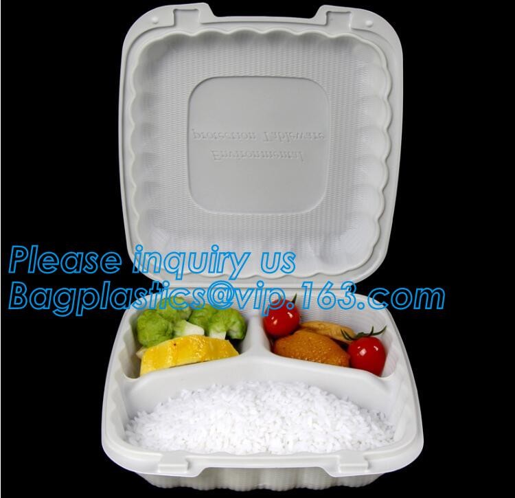 Blister large clear plastic fruit container with lid for fruit packaging,blister fruit box /container/ fruit Tray/ Clear