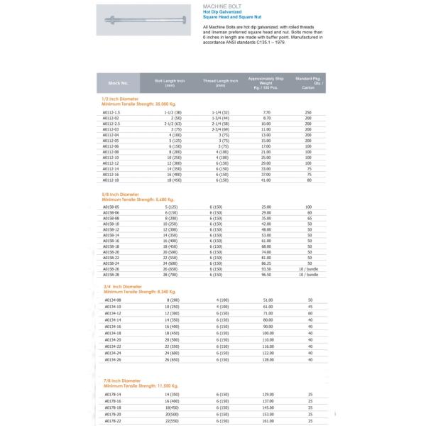 HDG MB Machine ISO 9001 Square Head Nuts And Bolts
