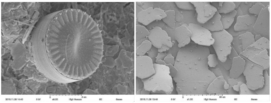 Magnification Max 60000X Scanning Electron Microscope 15nm Resolution Optional EDS