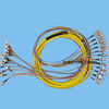 Buy cheap 12 cores Fiber Optic Patch Cord from wholesalers