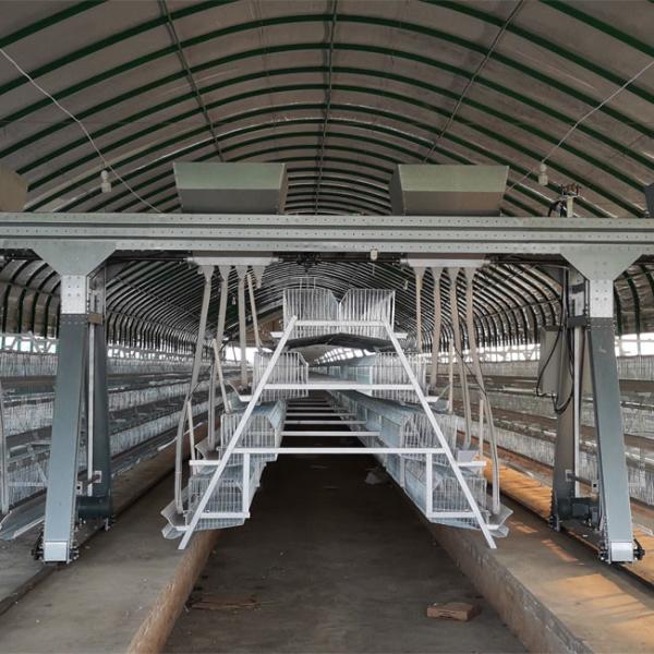 Hot Dipped Galvanized 128 birds Chicken Egg Layer Cages A Type