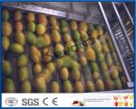 Pineapple Mango Processing Line , Fruit Juice Mango Pulp Processing Plant