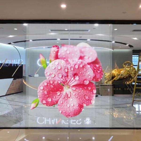 Shopping Mall Transparent LED Display Screen