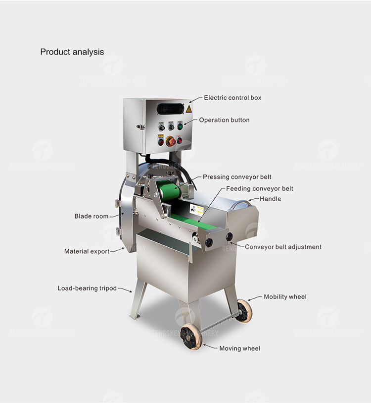 Celery Chinese Cabbage Vegetable Processing Machine Single Head Tengsheng
