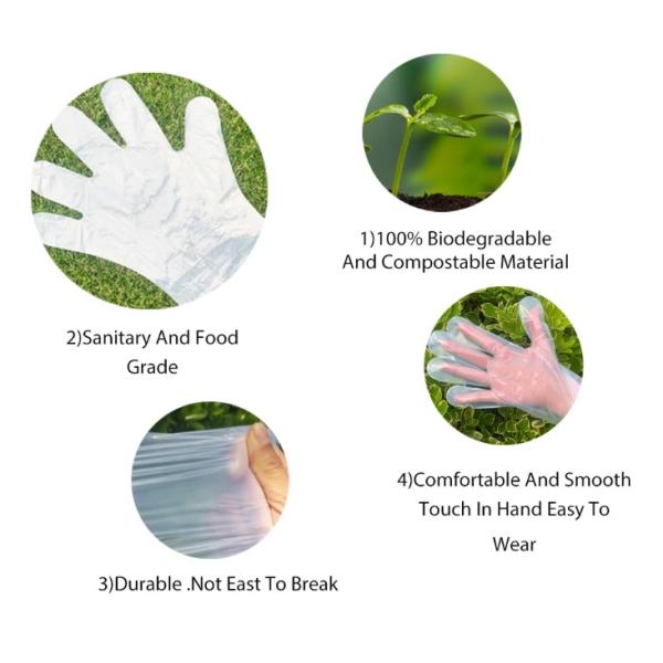 Disposable Biodegradable Compostable Plastic Gloves Customized Color for Kitchen