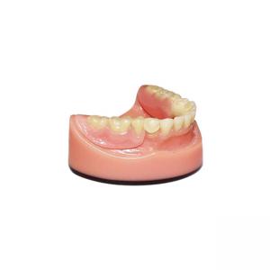 Buy cheap OEM PFM Dental Bridge 3D Digital Intraoral Scanning Imaging System product