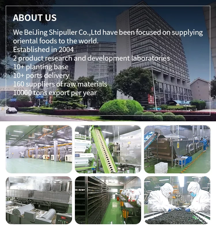 Chinese Mung Bean 200g Longkou Vermicelli Quick Cooking Noodle