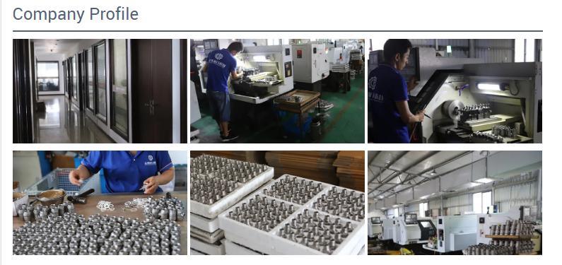 200psi/Pn16 NPT/BSPP/BSPT Screwed Stainless Steel Swing Check Valve