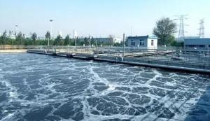 High Speed SS304 Centrifugal Solid Liquid Separation Wastewater Centrifuge