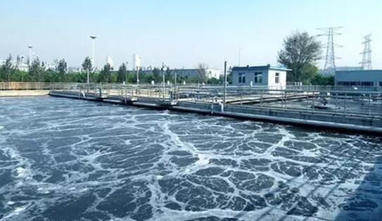 Quality High Speed SS304 Centrifugal Solid Liquid Separation Wastewater Centrifuge for sale