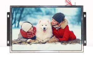 Low cost 15 inch frameless LCD video screen for shelves/display racks