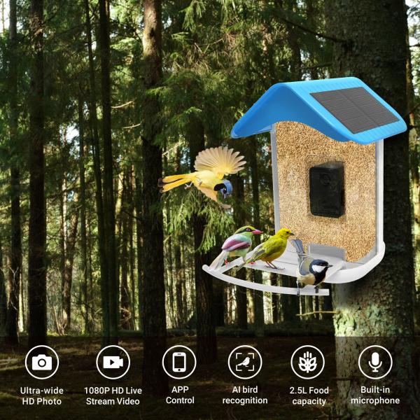 Quality Solar Smart Bird Feeder Camera Auto Capture Bird Videos & Bird Motion Detection AI Identify Species for sale