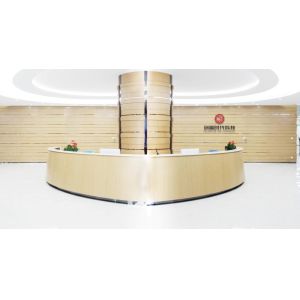 Shenzhen Chuangying Times Technology Co., Ltd.