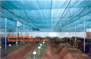 Buy cheap agriculture anti insect net on roll insect proof mesh for greenhouse,Greenhouse Anti Insect Netting /Agriculture Netting product