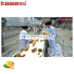Buy cheap Complete Mango Juice Processing Machine 1-20T/H Or Customized product