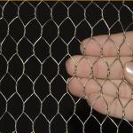 Galvanized Weave Mesh 0.3mm Hexagonal Chicken Hex Wire Mesh Nettting
