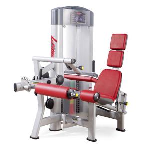 China China gym fitness equipment manufacturer seated leg curl machine with OEM service on sale