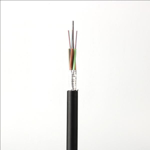 Crush Resistance GYTS Armored Fiber Optic Patch Cable With Flexibility