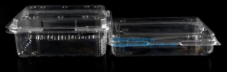 Blister large clear plastic fruit container with lid for fruit packaging,blister fruit box /container/ fruit Tray/ Clear