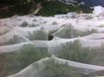 Bee Proof Net Making Agricultural Netting Machine Easy Maintenance CE TUV