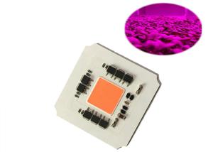 China High Efficiency Driverless 100W AC220v 380-780nm COB Led Full Spectrum Grow Light Chip for Led Plant Growing Light on sale
